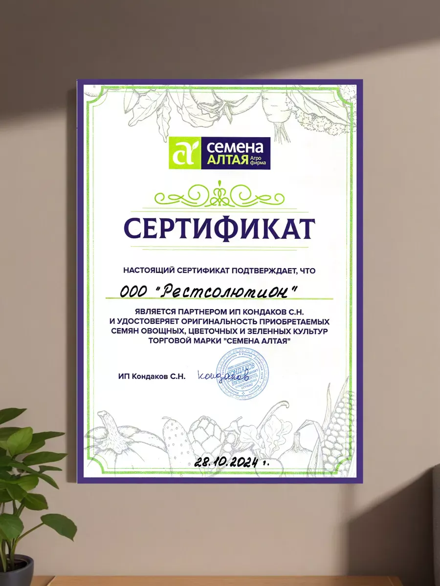 Семена огурца Герман F1 для теплицы и грунта