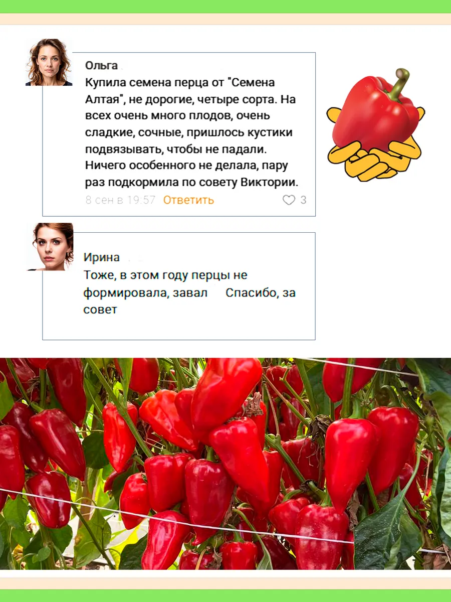 Семена сладкого перца толстостенного для открытого грунта