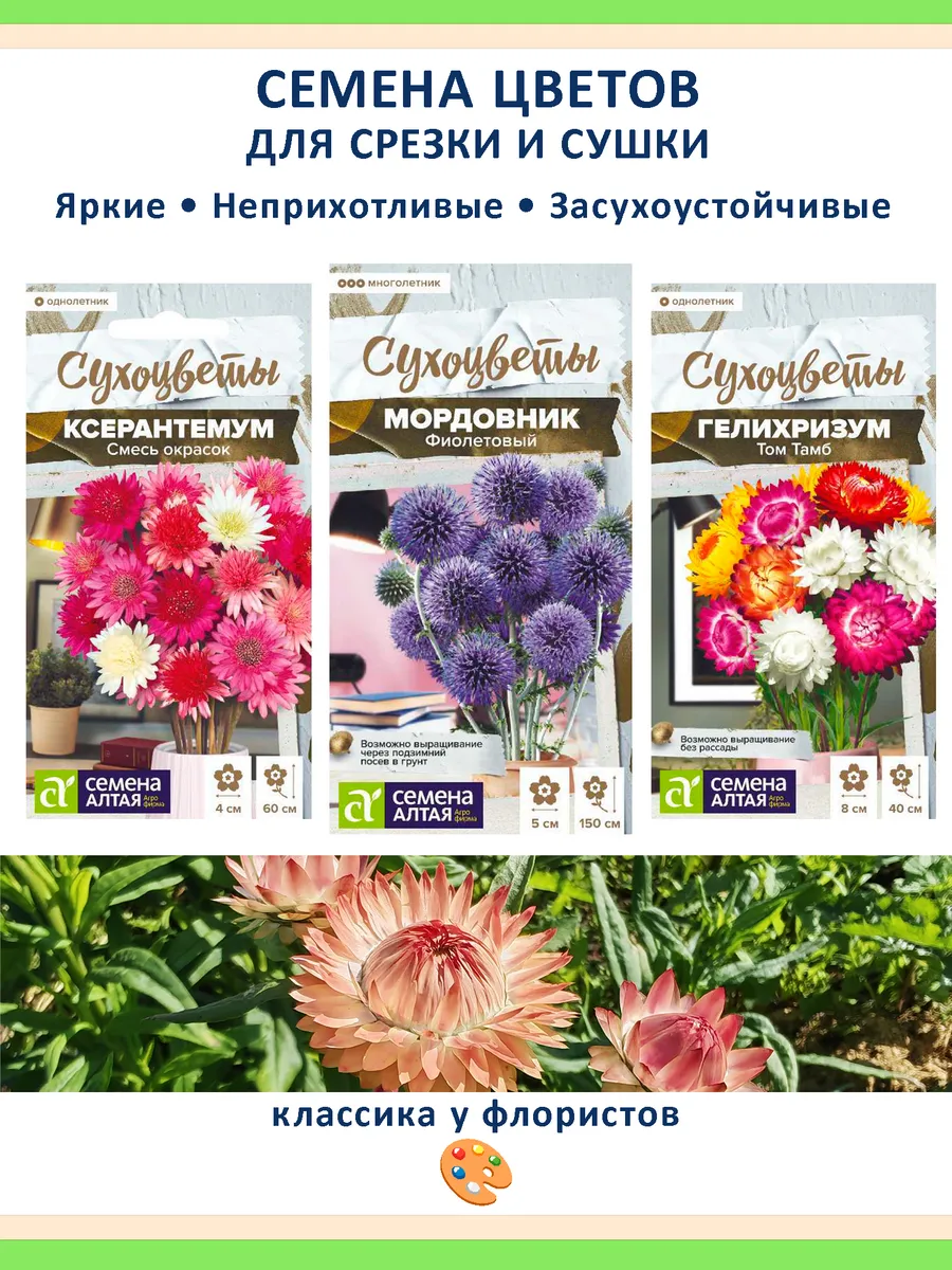 Набор семян сухоцветов для зимних букетов и украшения сада