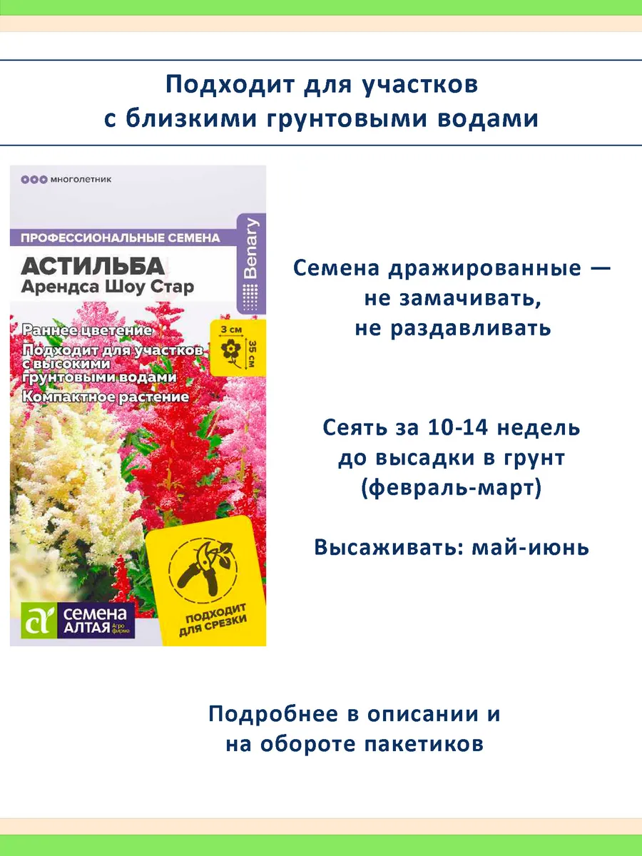 Семена астильбы Арендса Шоу Стар — 2 пакета по 3 шт