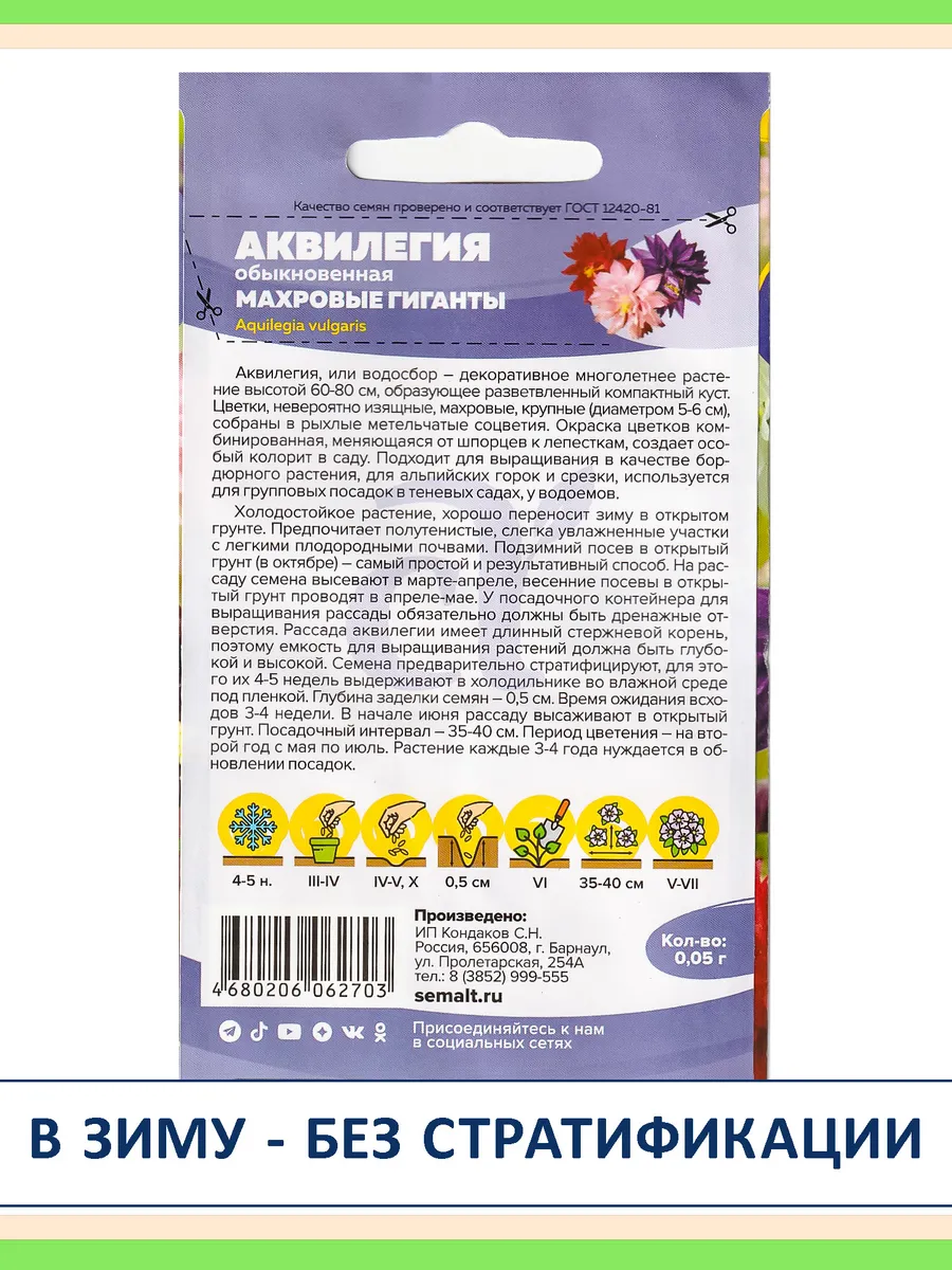 Семена цветов многолетников Аквилегия водосбор для тени 2 шт