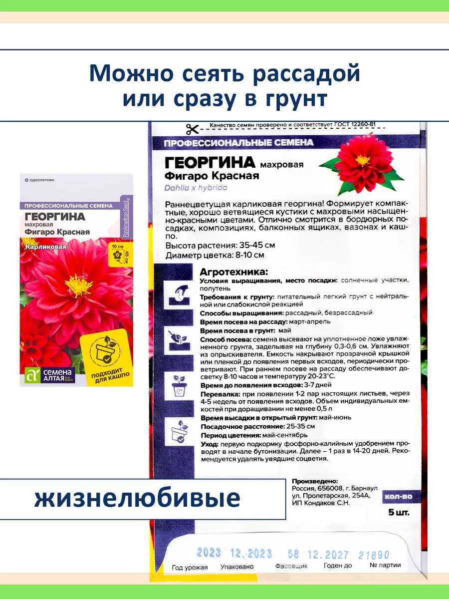 Набор семян цветов Георгина Фигаро карликовая махровая