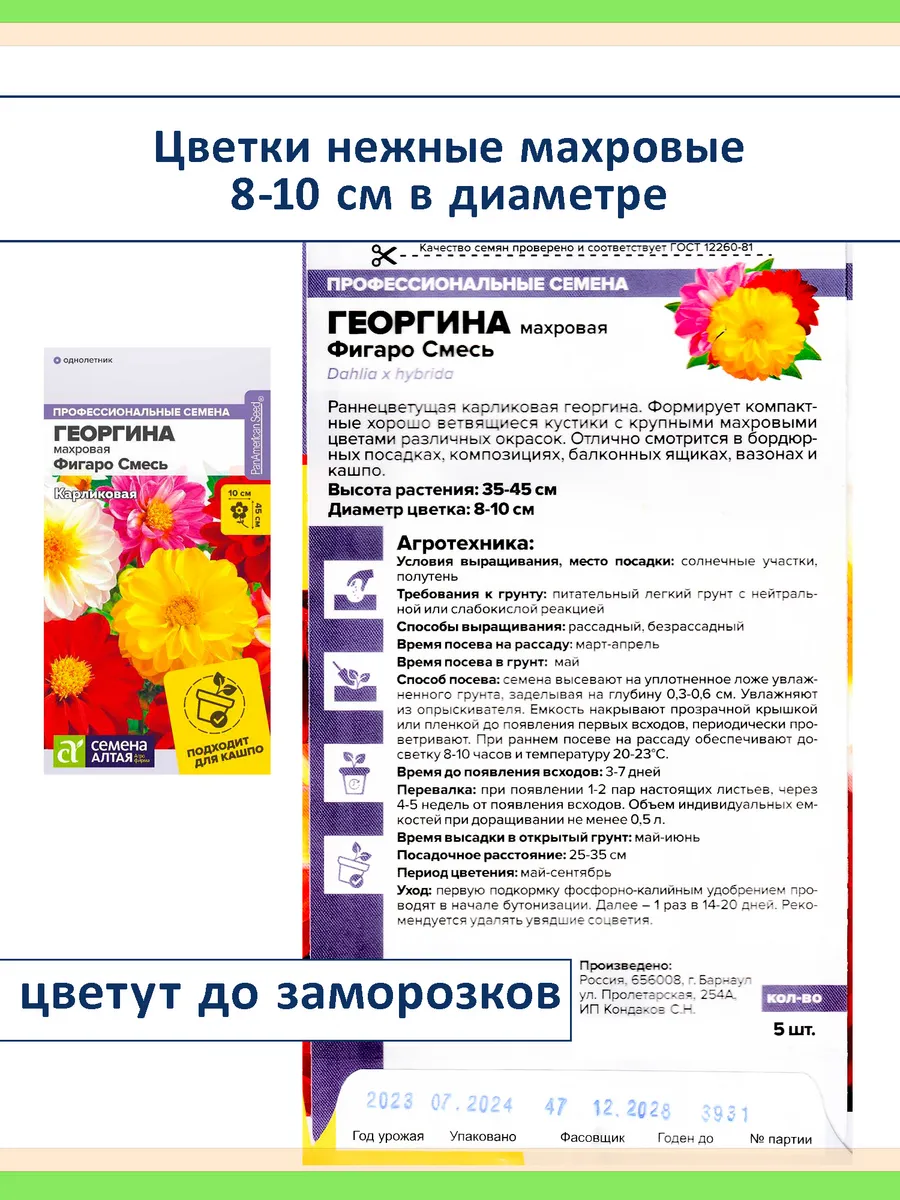 Набор семян цветов Георгина Фигаро карликовая махровая