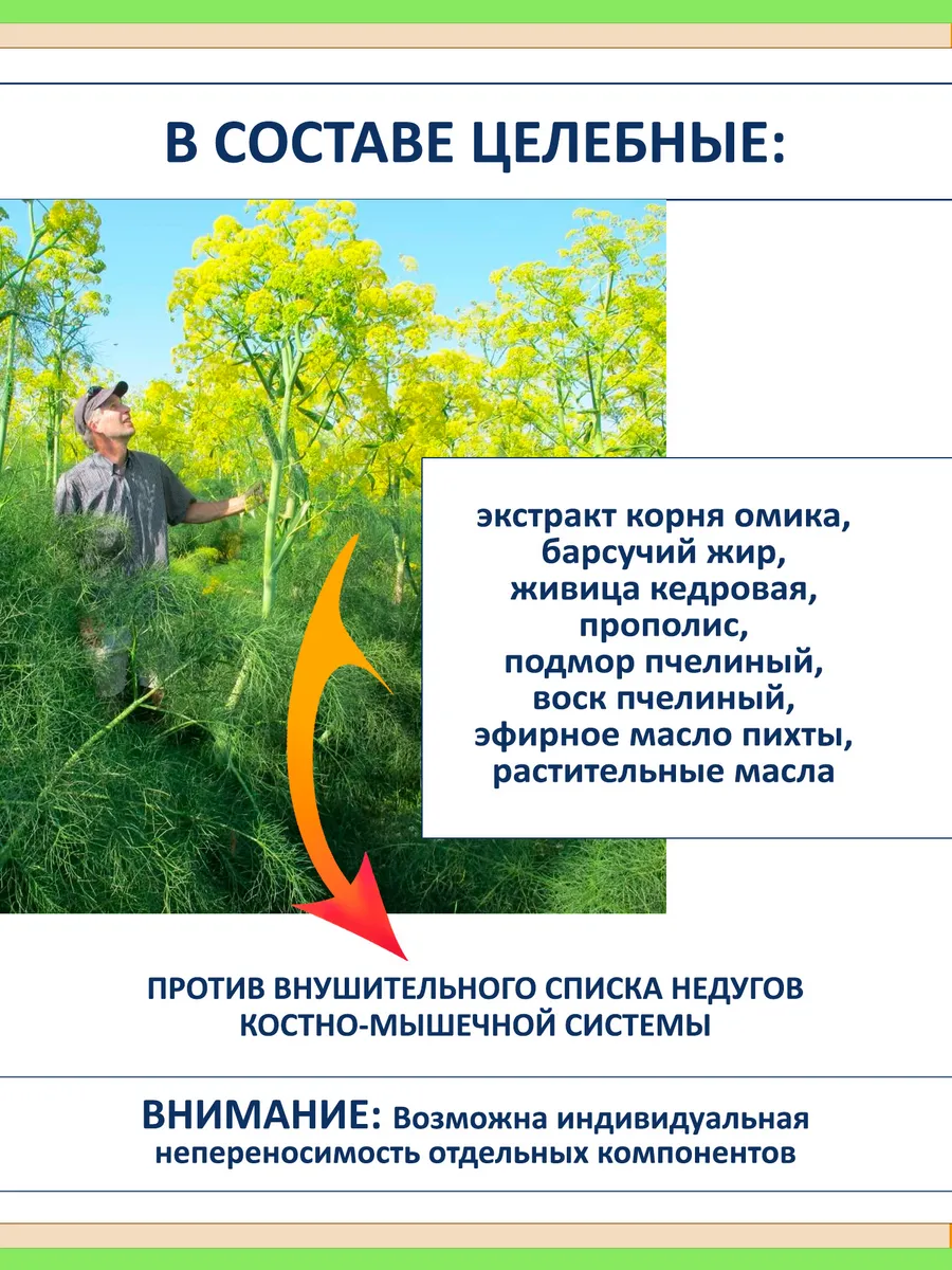 Крем для суставов с омиком и барсучьим жиром, Алтай