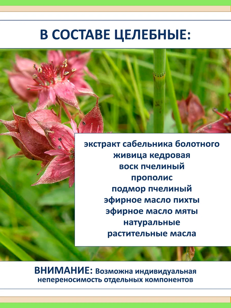 Сабельник мазь для суставов с живицей кедра