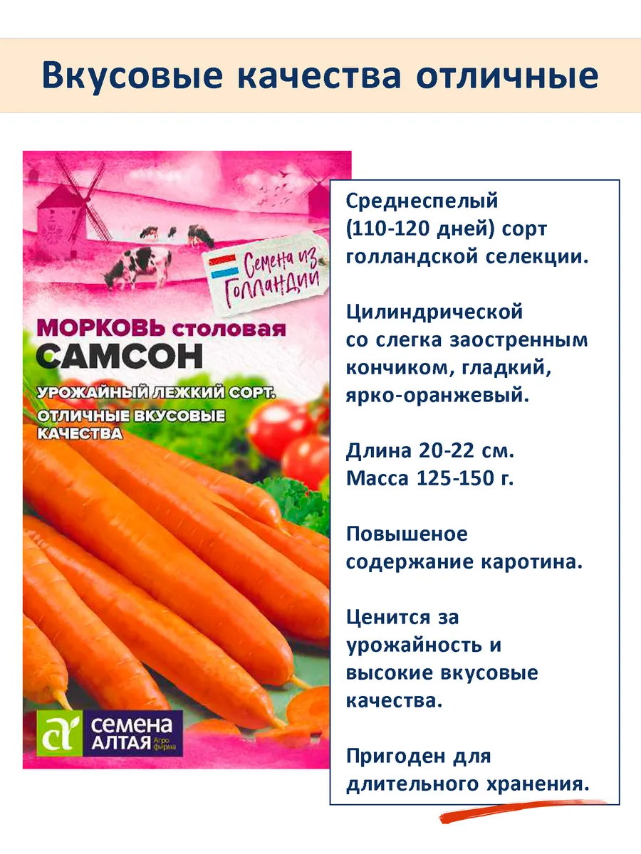 Семена моркови Самсон, Королева Осени, Красна Девица