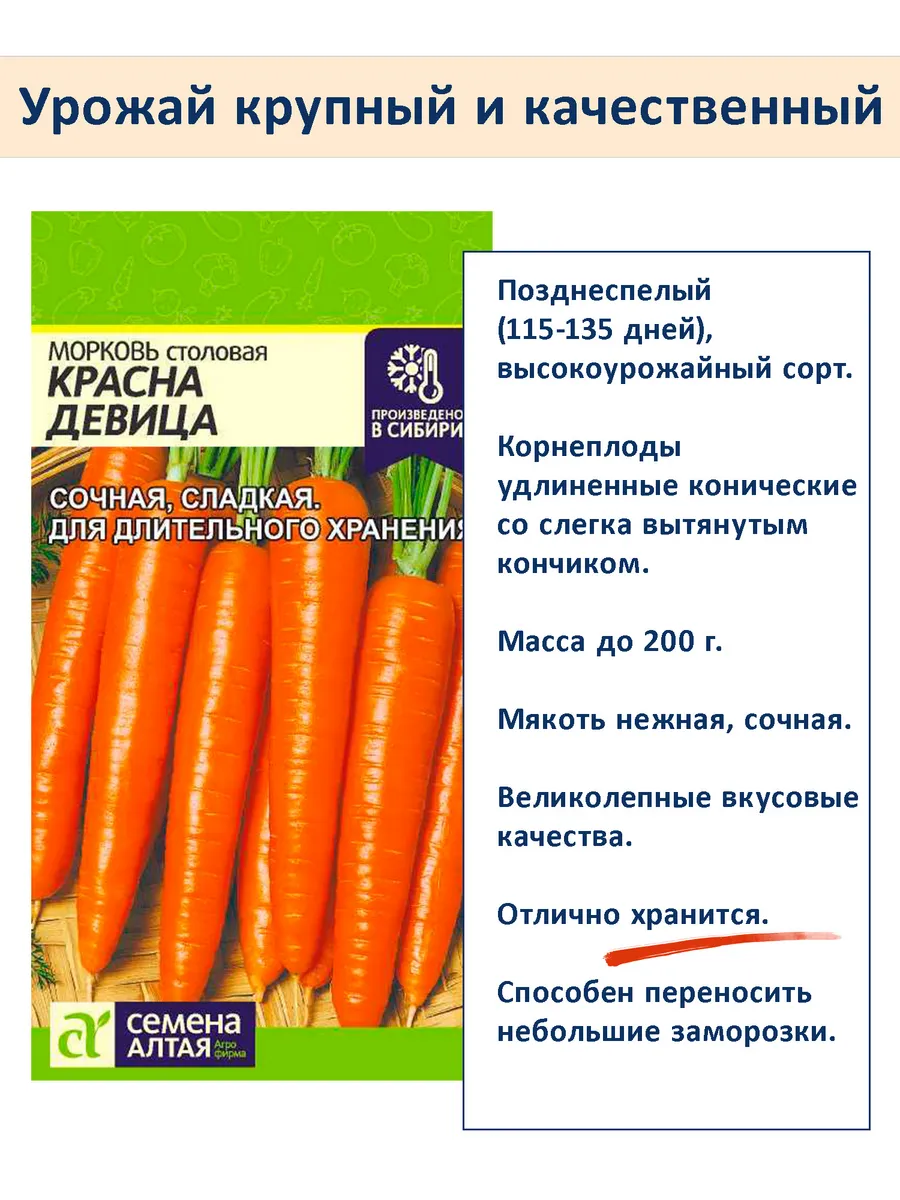 Семена моркови Самсон, Королева Осени, Красна Девица