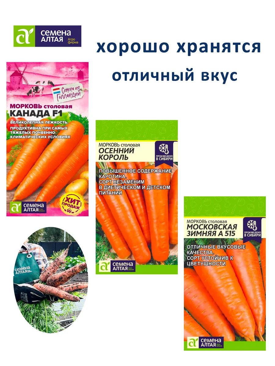 Набор семян моркови на хранение до весны, 3 шт