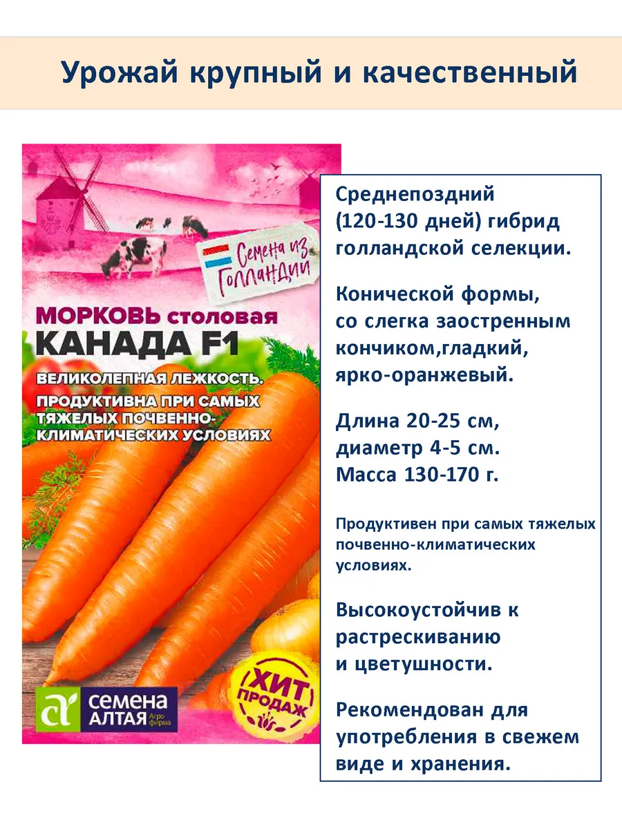 Набор семян моркови на хранение до весны, 3 шт