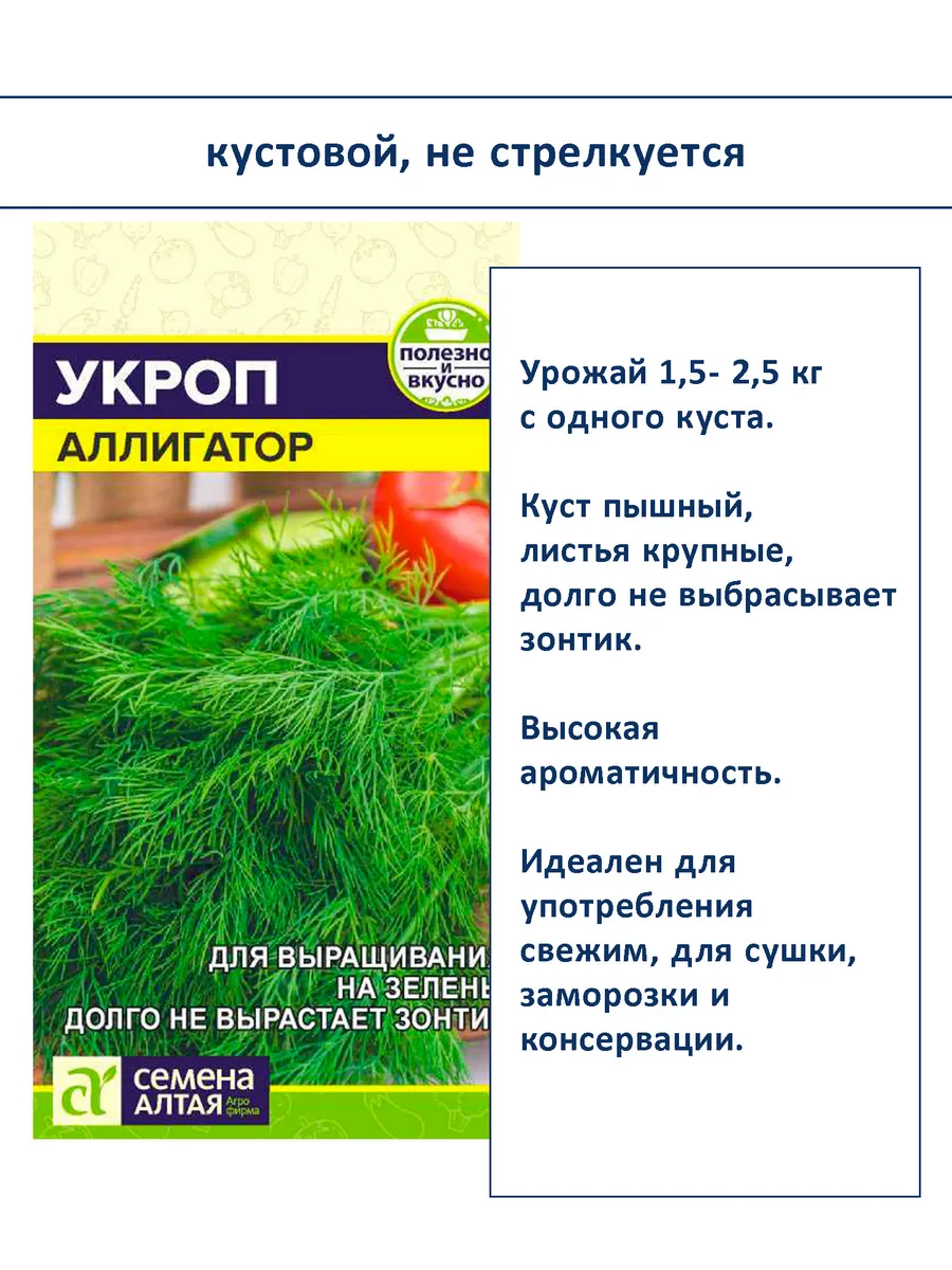 Семена укропа и петрушки — набор 4 сорта