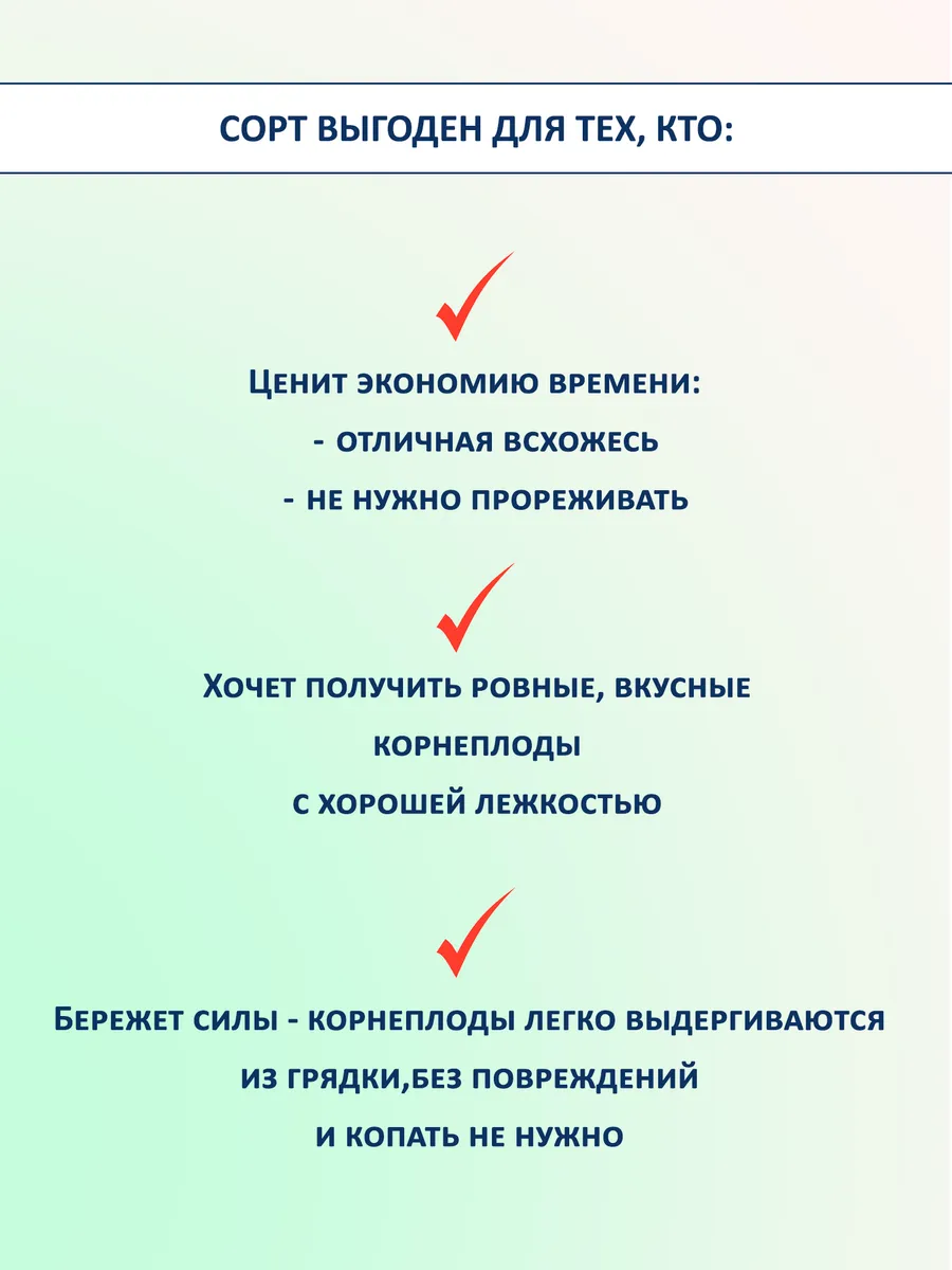 Семена свеклы Одноростковая сладкая без прореживания 2 шт