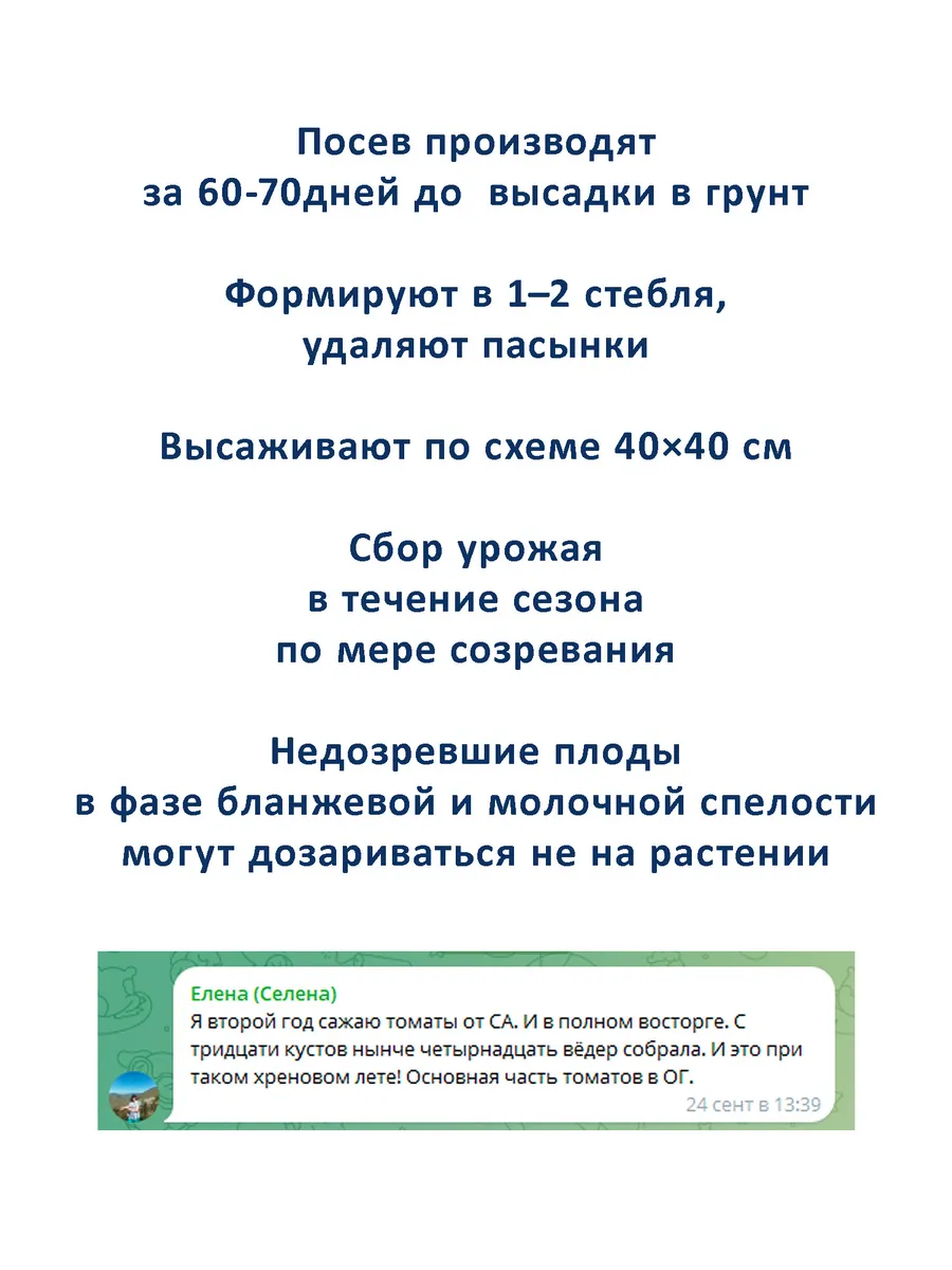Семена томатов биф крупноплодные индетерминантные 3 шт