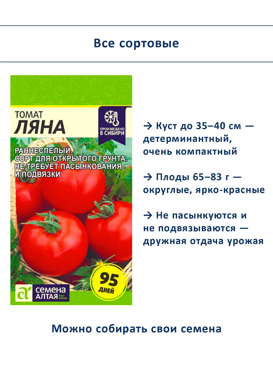 Семена томатов детерминантные для открытого грунта