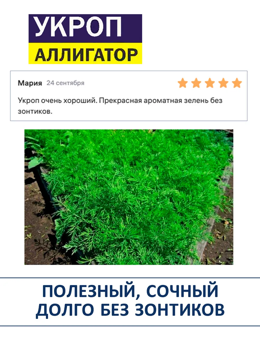 Семена укропа Аллигатор кустовой набор 2 пачки