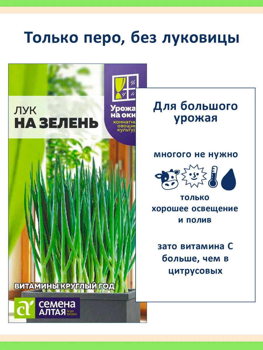 Семена лука на зелень, раннеспелый, набор 2 пакета