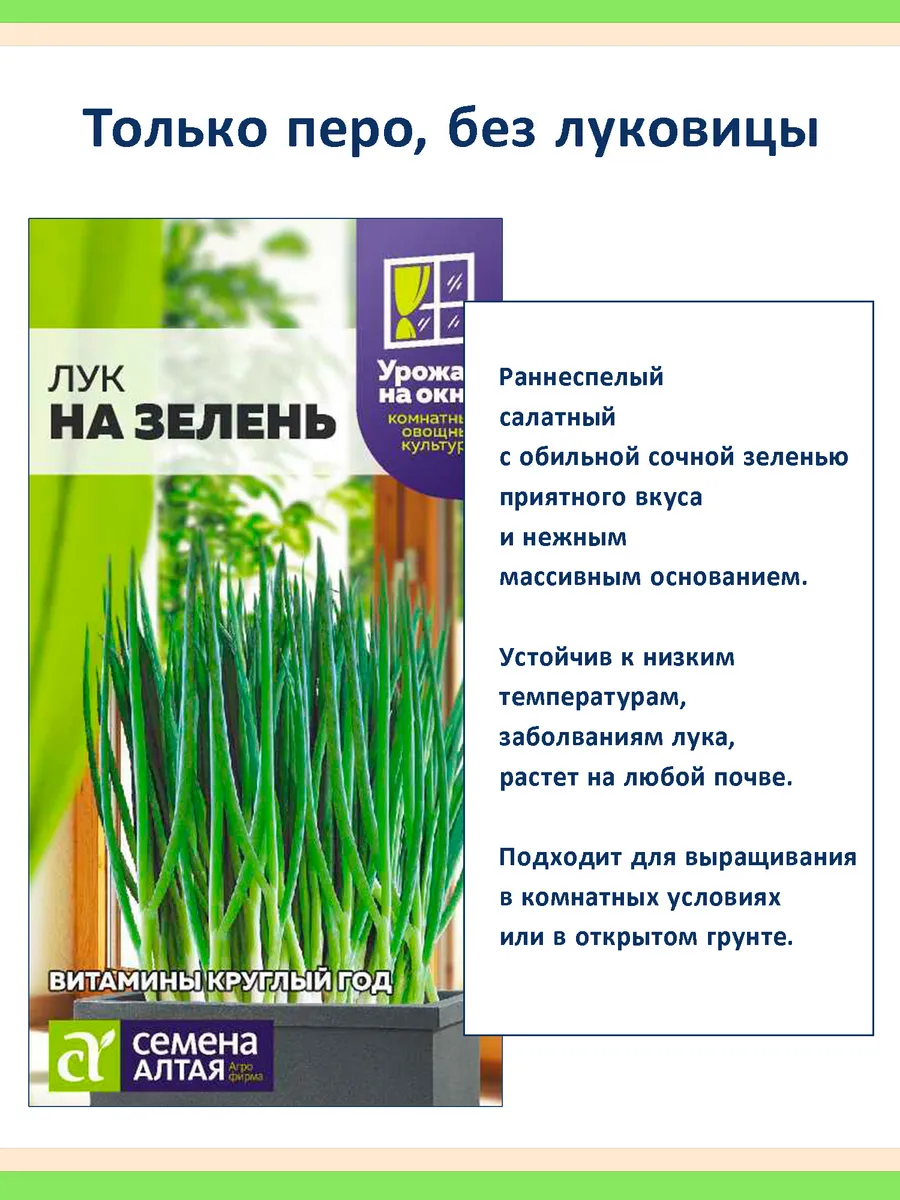 Семена лука на зелень, раннеспелый, набор 2 пакета