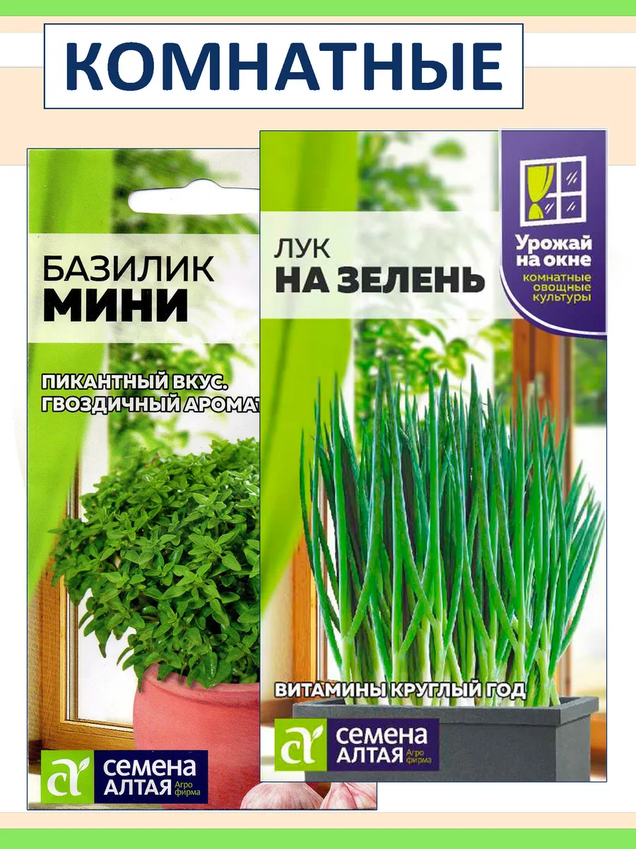Семена зелени для подоконника: лук и базилик #3