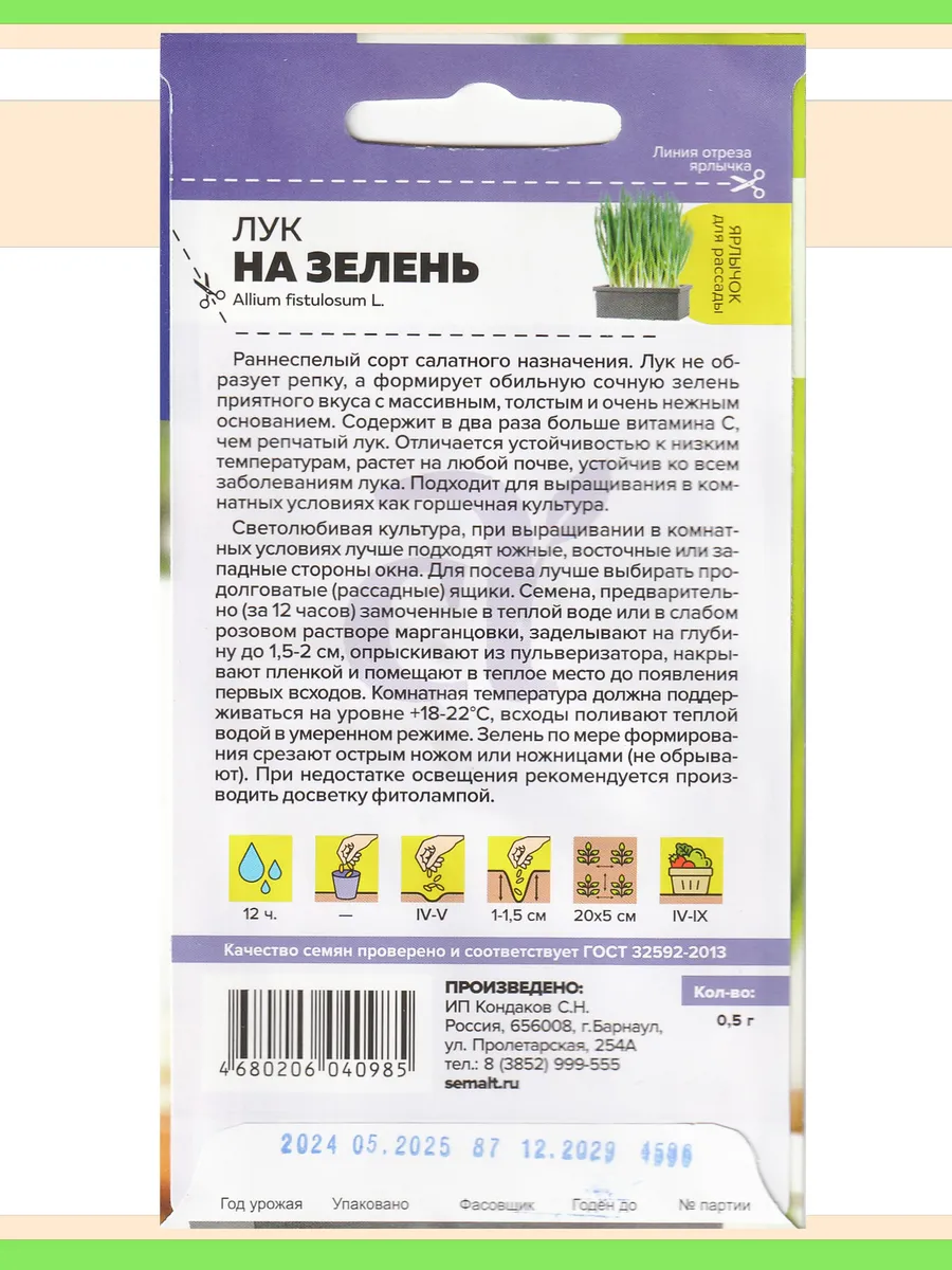 Семена зелени для подоконника: лук и базилик #3