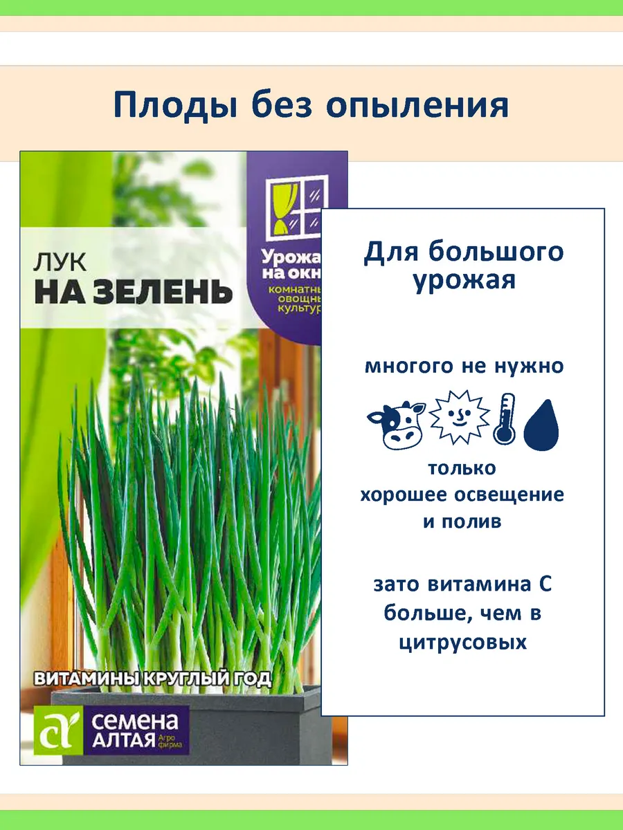 Набор семена Базилик и Лук на зелень, для подоконника #1