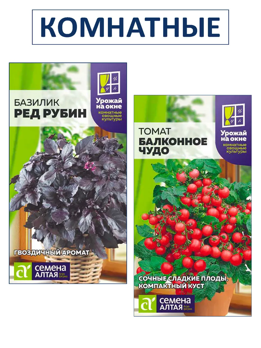 Набор семена для подоконника: томат и базилик фиолетовый