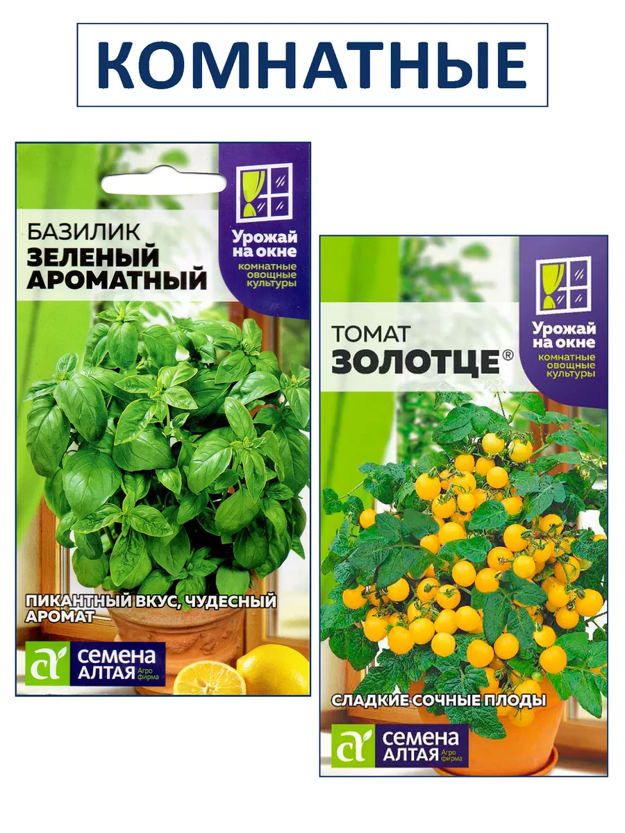 Семена для подоконника: базилик и мини помидоры