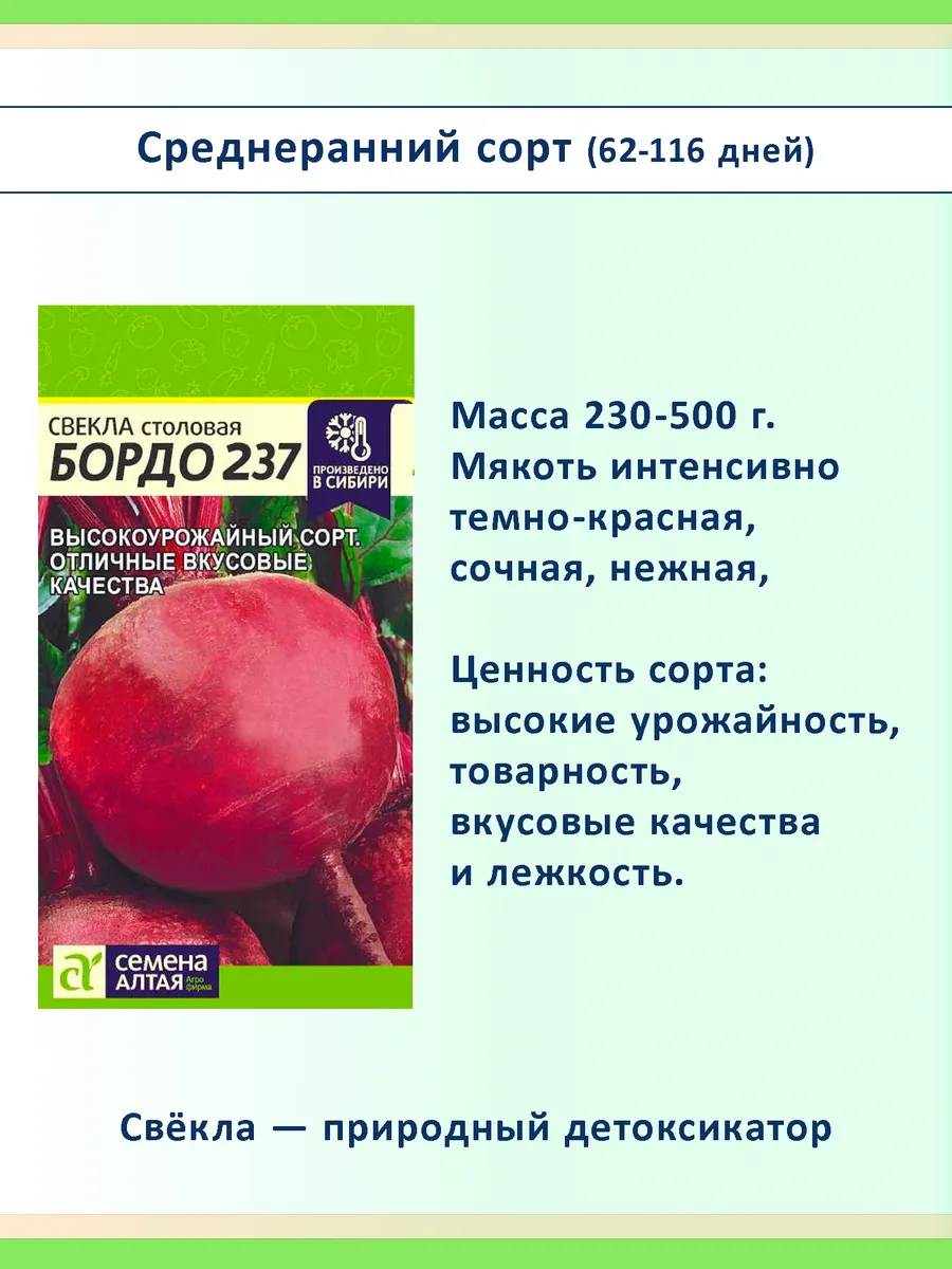 Набор семян свеклы для посадки, 5 сортов: сладкая, лежкая