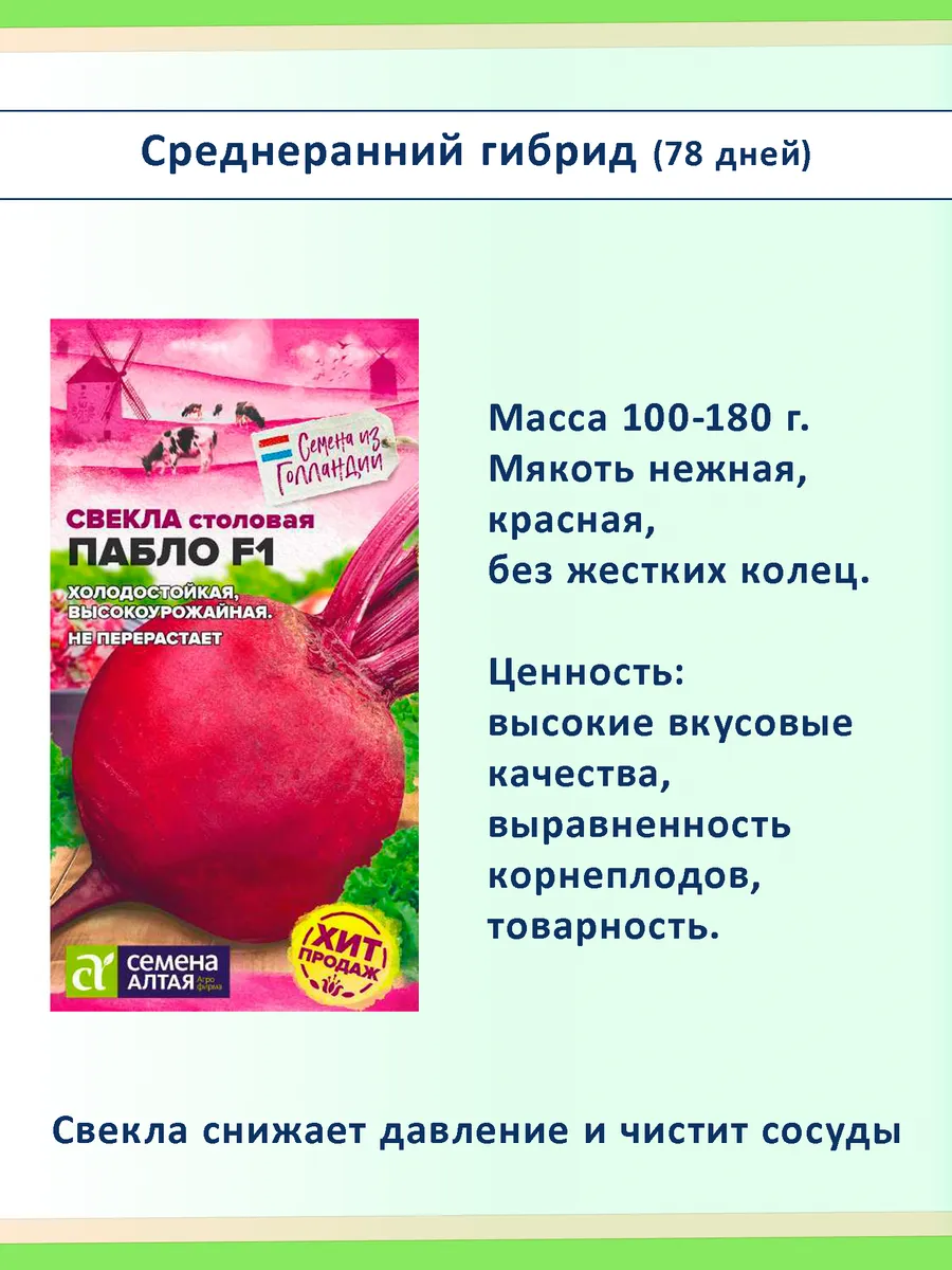 Набор семян свеклы для посадки, 5 сортов: сладкая, лежкая