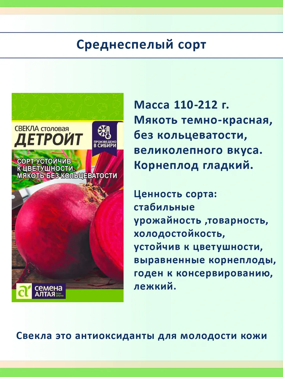 Набор семян свеклы для посадки, 5 сортов: сладкая, лежкая